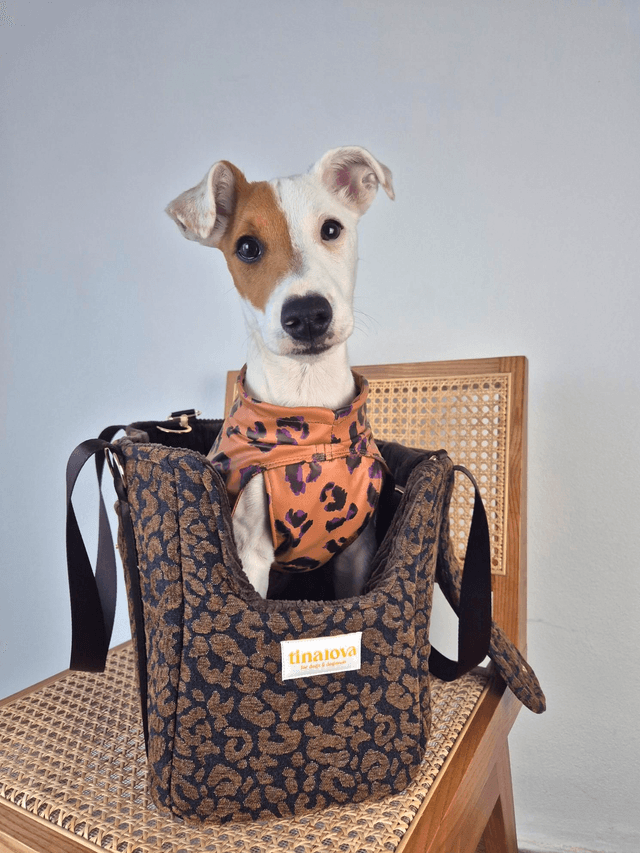 Sac de transport